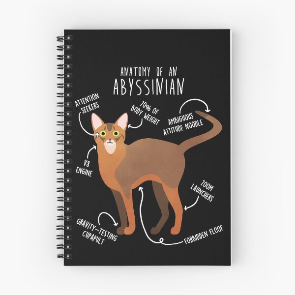 Item preview, Abyssinian Cat Anatomy designed and sold by Clara Hollins.