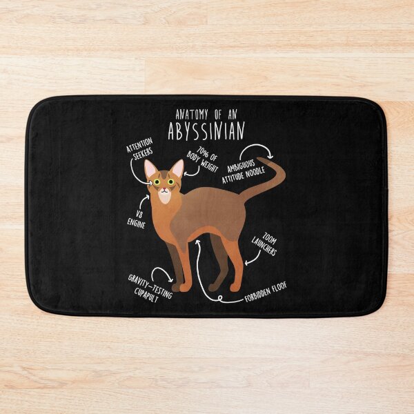 Item preview, Abyssinian Cat Anatomy designed and sold by Clara Hollins.