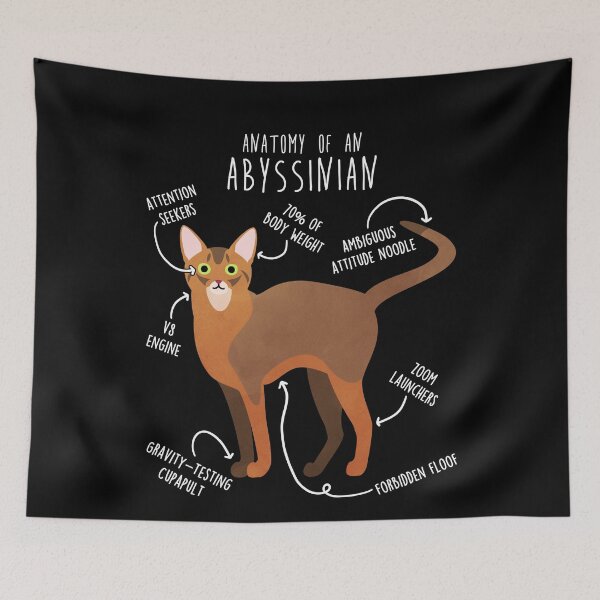 Item preview, Abyssinian Cat Anatomy designed and sold by Clara Hollins.