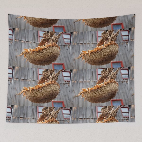 Item preview, Dried Sunflower Head. designed and sold by Billlee.