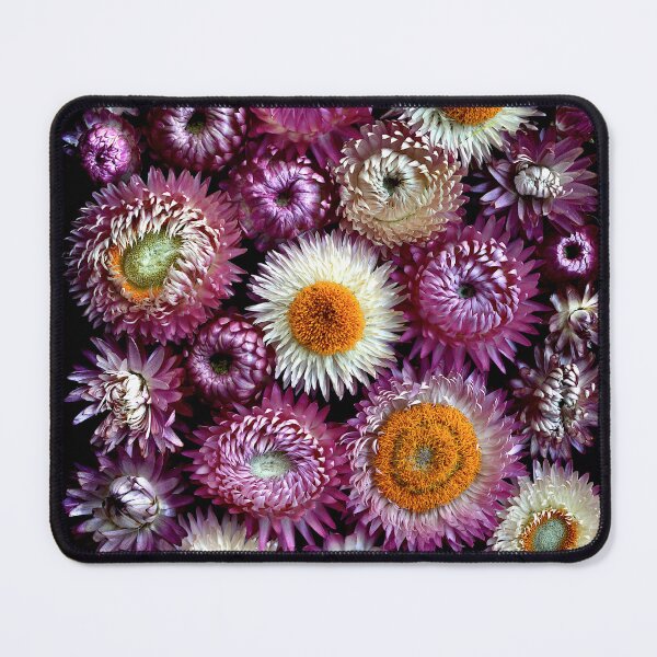 Item preview, Purple Everlasting Daisies Collage designed and sold by therandomimage2.