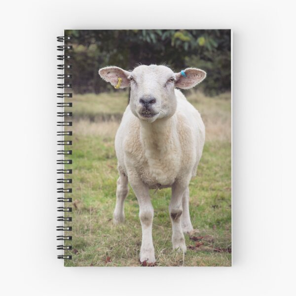 Item preview, The friendly sheep designed and sold by JEZ22.
