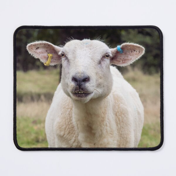 Item preview, The friendly sheep designed and sold by JEZ22.