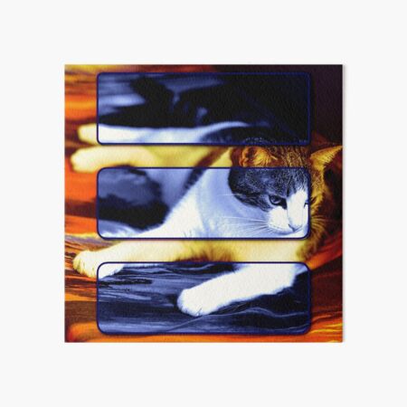 Cat Digital Art Art Board Print