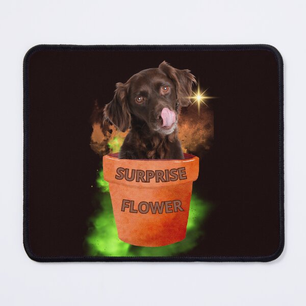 Item preview, SURPRISE FLOWER designed and sold by Tadeusz1.