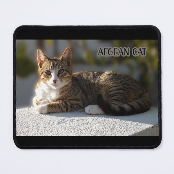 Item preview, A tabby with white cute Aegean cat photo from Greece with aegean text on it designed and sold by EmeraldeaArt.