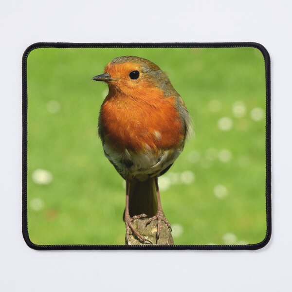 Item preview, CUTENESS ALERT 1 designed and sold by NatureWatch10.