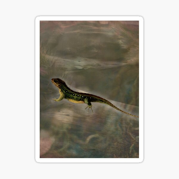 Lizard Reptile Forest Jungle Vibes Sticker