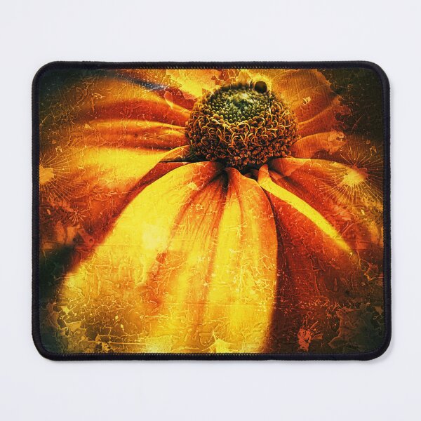 Item preview, #364 Rudbeckia Annual Garden Flower Distressed Design designed and sold by phutball.