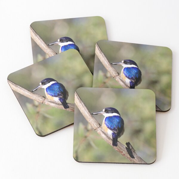 Item preview, Forest Kingfisher perched on a branch designed and sold by BirdsAlive.