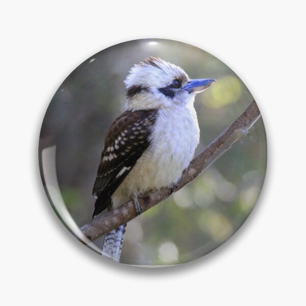 Item preview, Laughing Kookaburra perched on a branch designed and sold by BirdsAlive.
