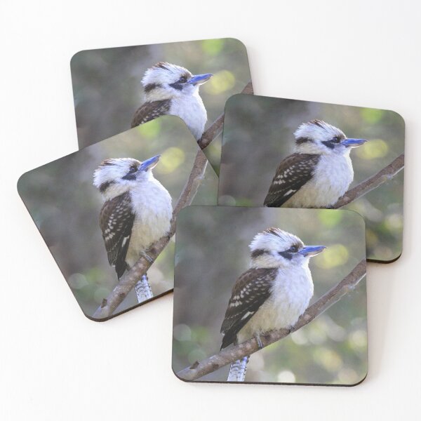 Item preview, Laughing Kookaburra perched on a branch designed and sold by BirdsAlive.