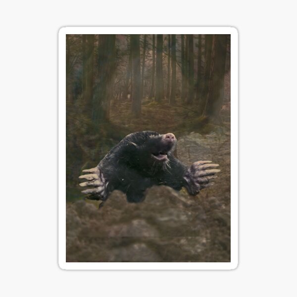Mole Nature Forest Underground Burrowing Animal Sticker