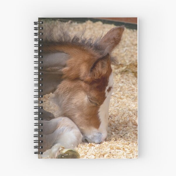 Item preview, Clydesdale Foal designed and sold by Carol Bock.
