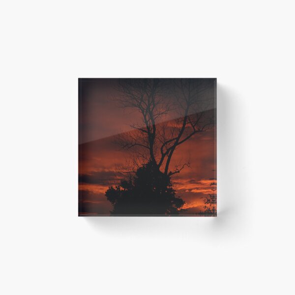 Item preview, solitary tree in sunset designed and sold by PinkiesPictures.