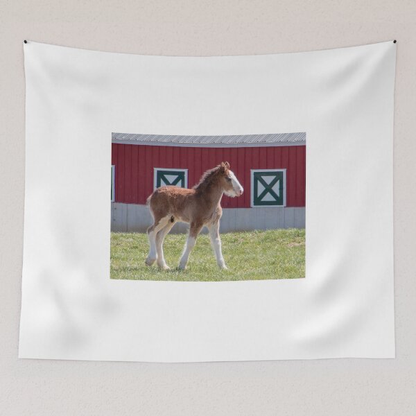 Item preview, Amazing Clydesdale Foal designed and sold by Carol Bock.