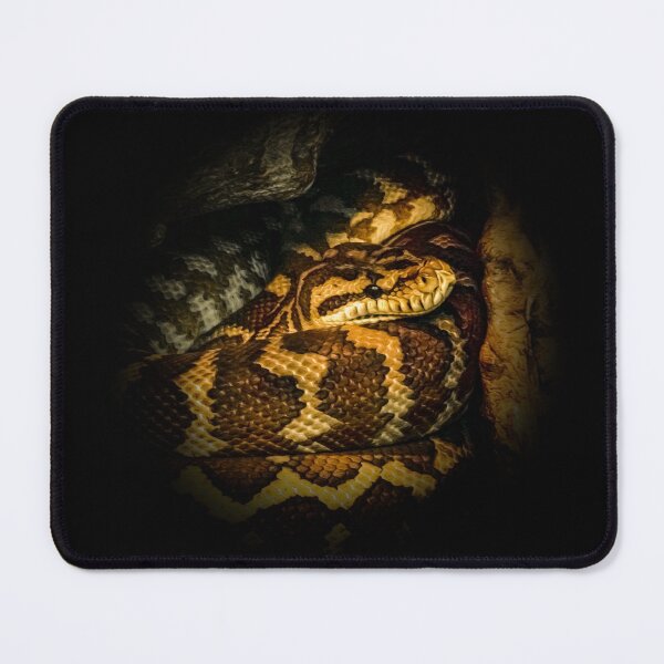 Item preview, Python designed and sold by Guardi71.