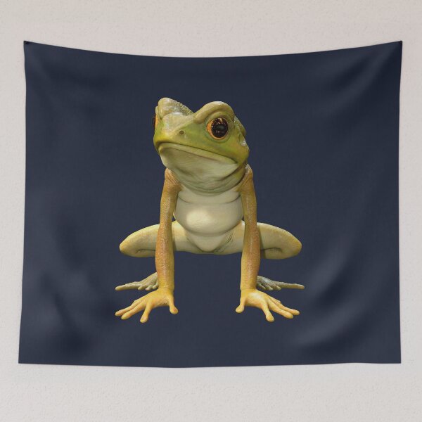 Item preview, Grumpy Cartoon Frog designed and sold by Vac1.
