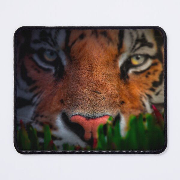 Item preview, Tiger death stare designed and sold by Che Dylan Millson.