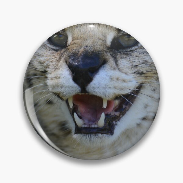 Item preview, Snarling caracal  designed and sold by Che Dylan Millson.