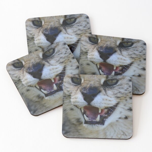Item preview, Snarling caracal  designed and sold by Che Dylan Millson.