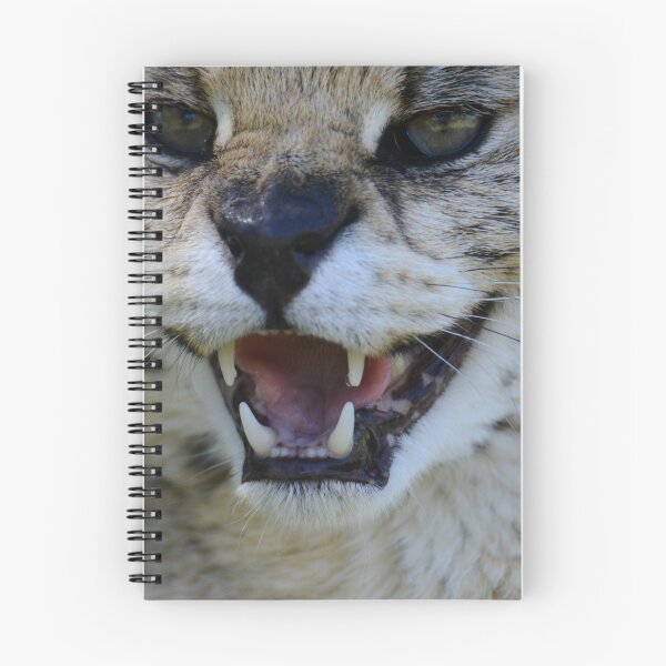 Item preview, Snarling caracal  designed and sold by Che Dylan Millson.