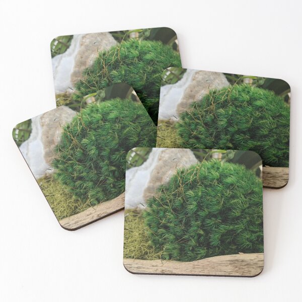 Item preview, Moss, Wood, and Stone  designed and sold by Autumn Hahn.