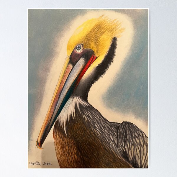 Pelican Poster