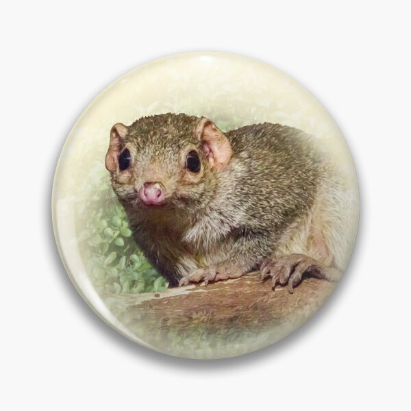 Item preview, Treeshrew designed and sold by Guardi71.