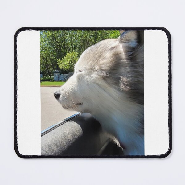 Item preview, Alaskan Malamute car Window designed and sold by Geekmosis.