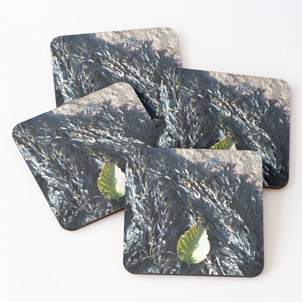Item preview, Lone Leaf at the Tides  designed and sold by TimelapTravel.