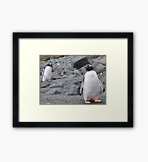 Penguin Friendship Framed Print