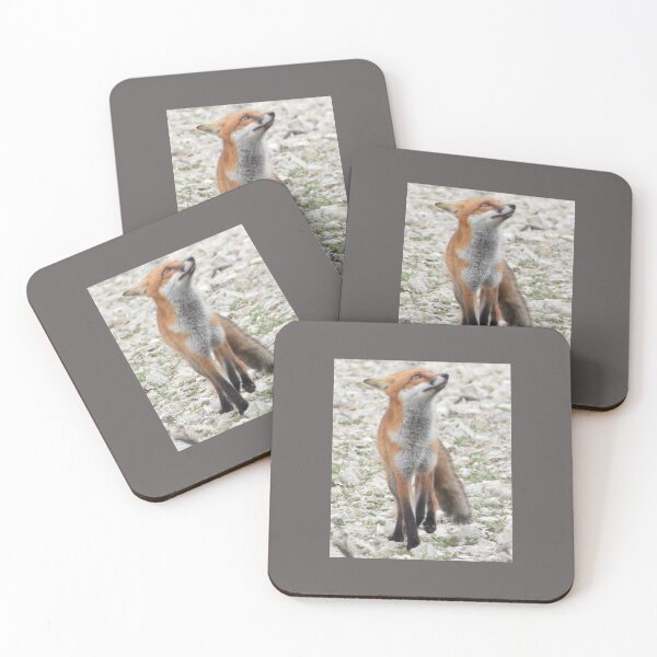 Item preview, Beautiful Little Red Fox designed and sold by Karen Thomson.
