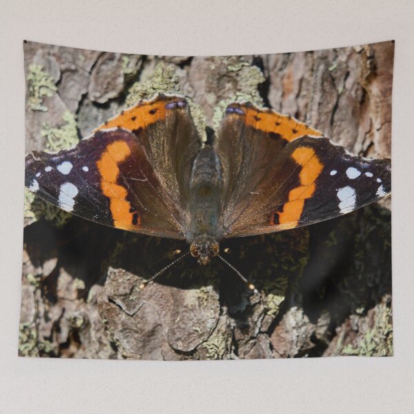 Item preview, Who is there. Red admiral designed and sold by Jouko Lehto Photography.