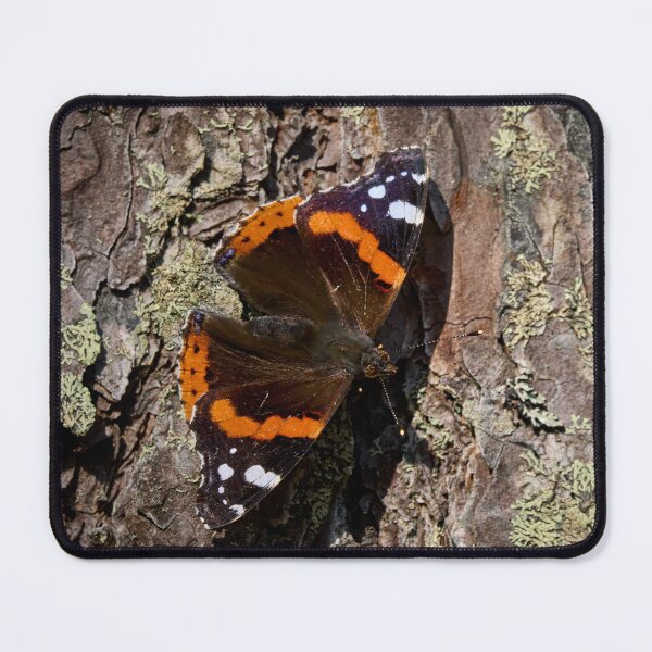 Item preview, Sideways. Red admiral designed and sold by Jouko Lehto Photography.