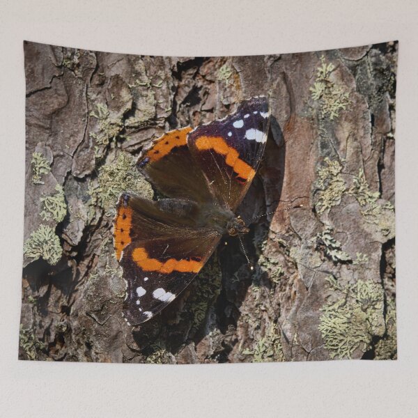Item preview, Sideways. Red admiral designed and sold by Jouko Lehto Photography.