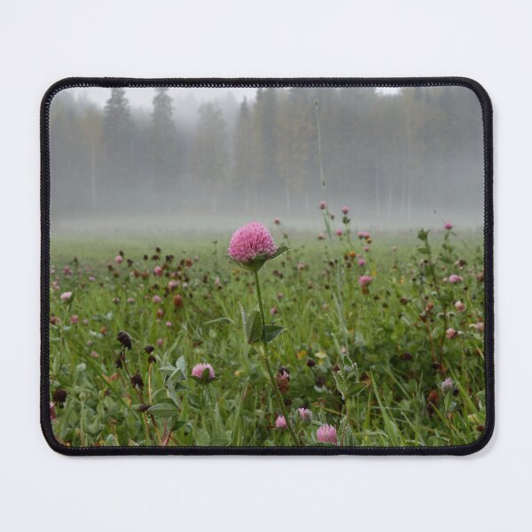 Item preview, Cloverfield morning. Parkkuu 2024 designed and sold by Jouko Lehto Photography.