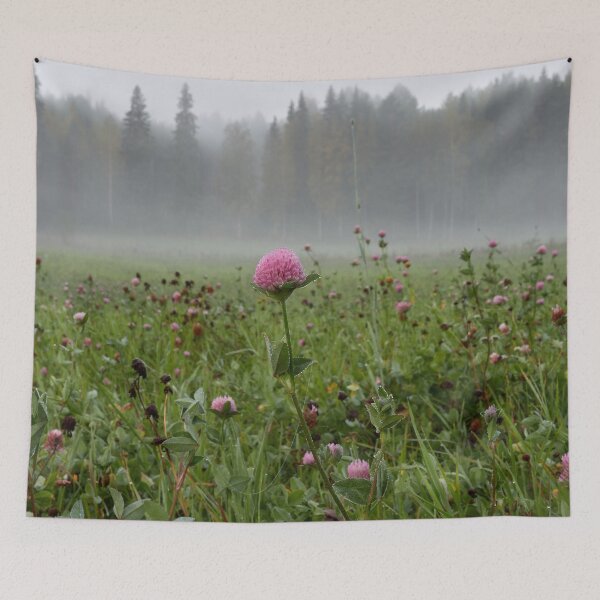Item preview, Cloverfield morning. Parkkuu 2024 designed and sold by Jouko Lehto Photography.