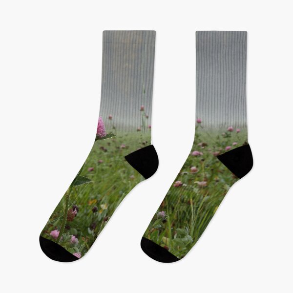 Item preview, Cloverfield morning. Parkkuu 2024 designed and sold by Jouko Lehto Photography.