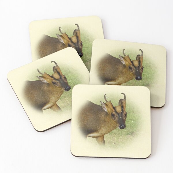 Item preview, Barking deer designed and sold by Guardi71.