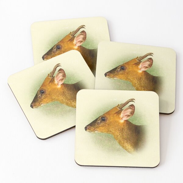 Item preview, Barking deer-Muntjac designed and sold by Guardi71.