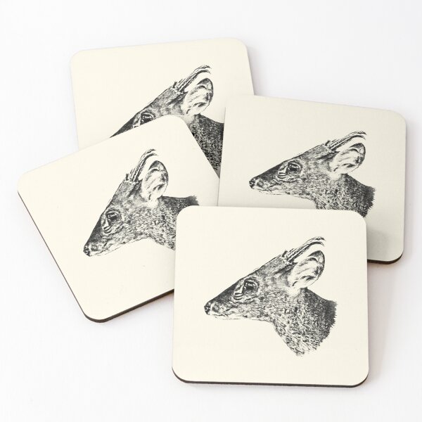 Item preview, Barking deer-Muntjac designed and sold by Guardi71.