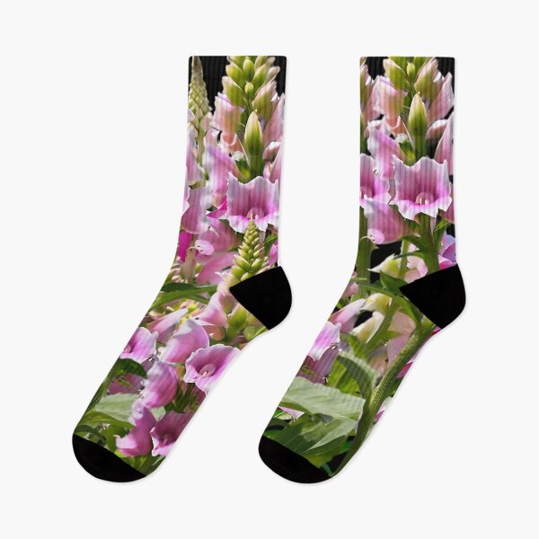 Item preview, A close-up image of soft pink Foxglove flowers designed and sold by Tchoice.