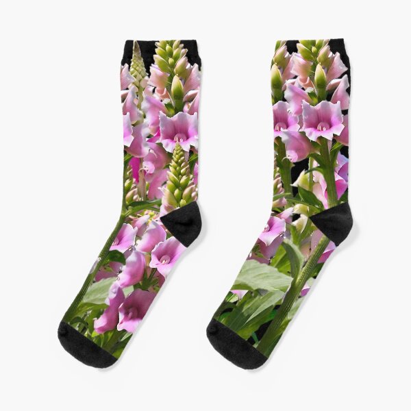 Item preview, A close-up image of soft pink Foxglove flowers designed and sold by Tchoice.