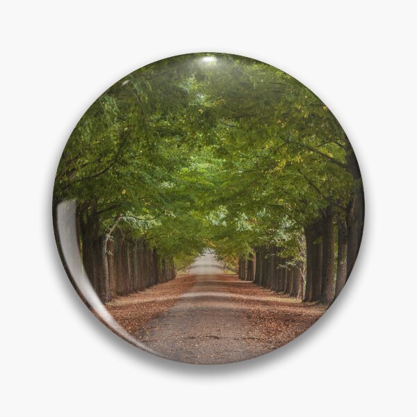 Item preview, Linden avenue in tuscany designed and sold by Stefano Orazzini.