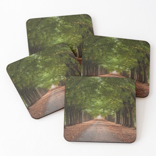 Item preview, Linden avenue in tuscany designed and sold by Stefano Orazzini.