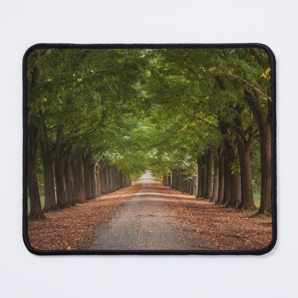 Item preview, Linden avenue in tuscany designed and sold by Stefano Orazzini.