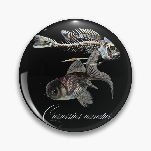 Item preview, Fancy Goldfish & Skeleton Carassius auratus Design designed and sold by EarthArtDesigns.