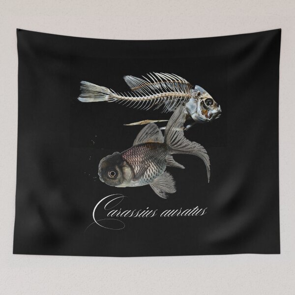 Item preview, Fancy Goldfish & Skeleton Carassius auratus Design designed and sold by EarthArtDesigns.