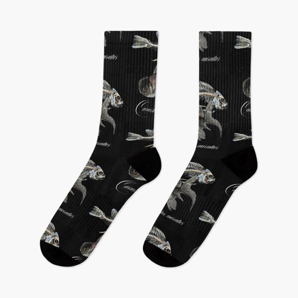 Item preview, Fancy Goldfish & Skeleton Carassius auratus Design designed and sold by EarthArtDesigns.